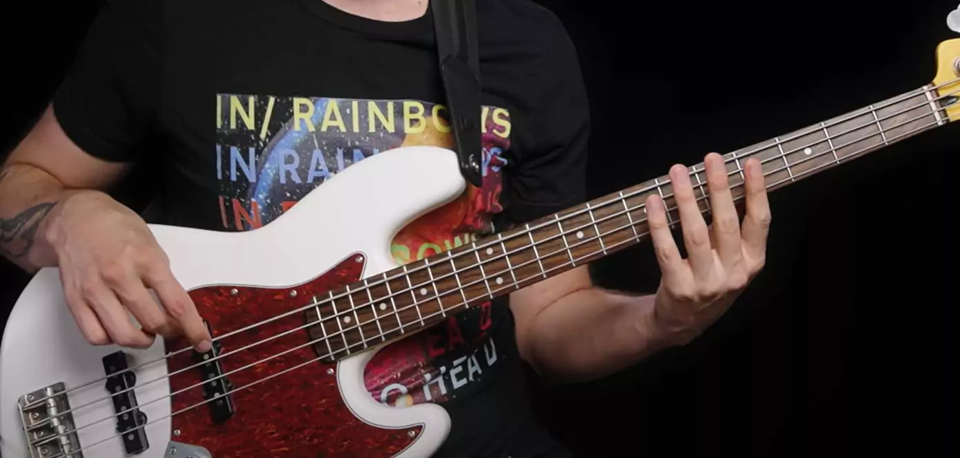 Beginner Bass – BassBuzz